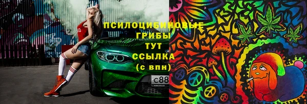 дмт Козельск