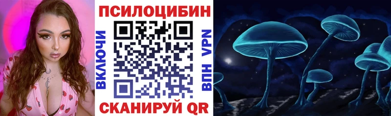 Псилоцибиновые грибы Psilocybe Баймак