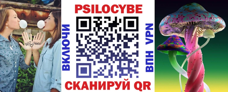 Псилоцибиновые грибы Psilocybe Баймак
