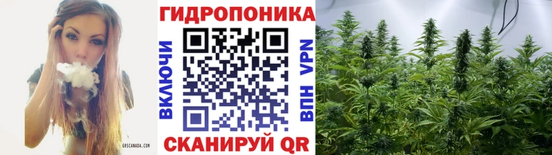 где найти наркотики  ссылка на мегу зеркало  Конопля сатива  Баймак 